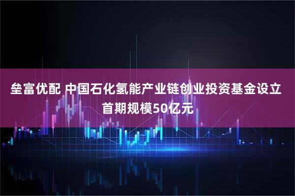 垒富优配 中国石化氢能产业链创业投资基金设立 首期规模50亿元